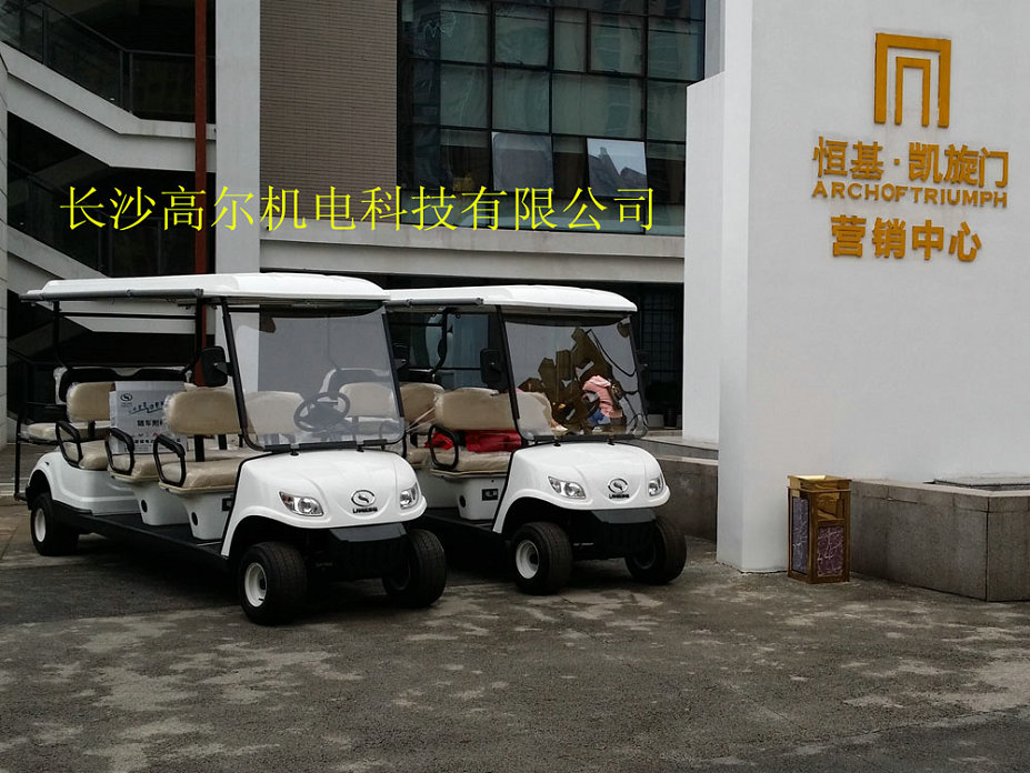 恒基凱旋門會所車